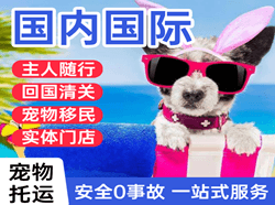 西双版纳航空快递国际宠物托运 【国